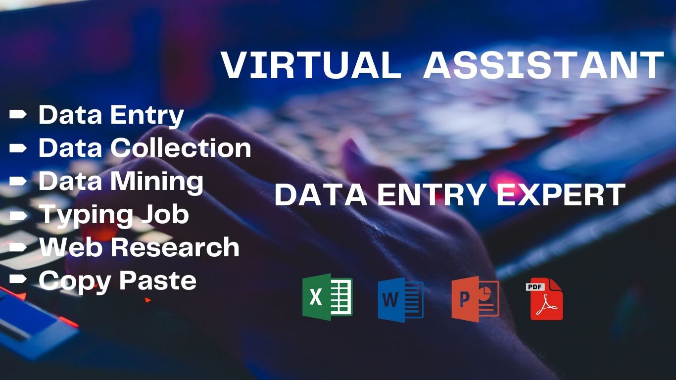 I will do  any data entry accurately for you